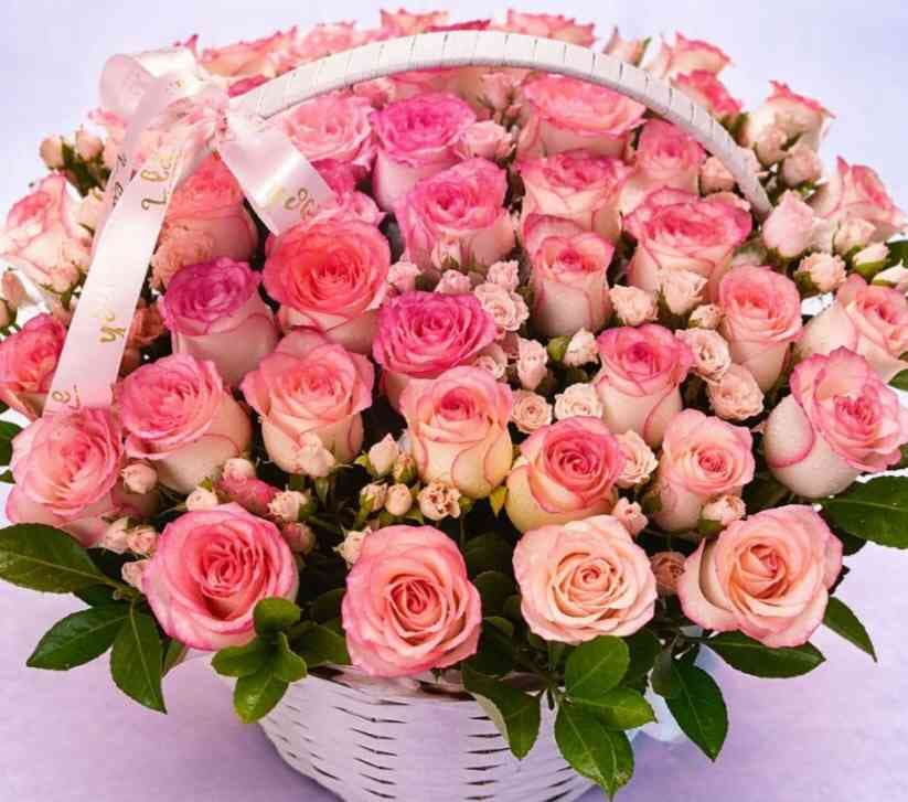 HAMIDOVA Sh. 475427