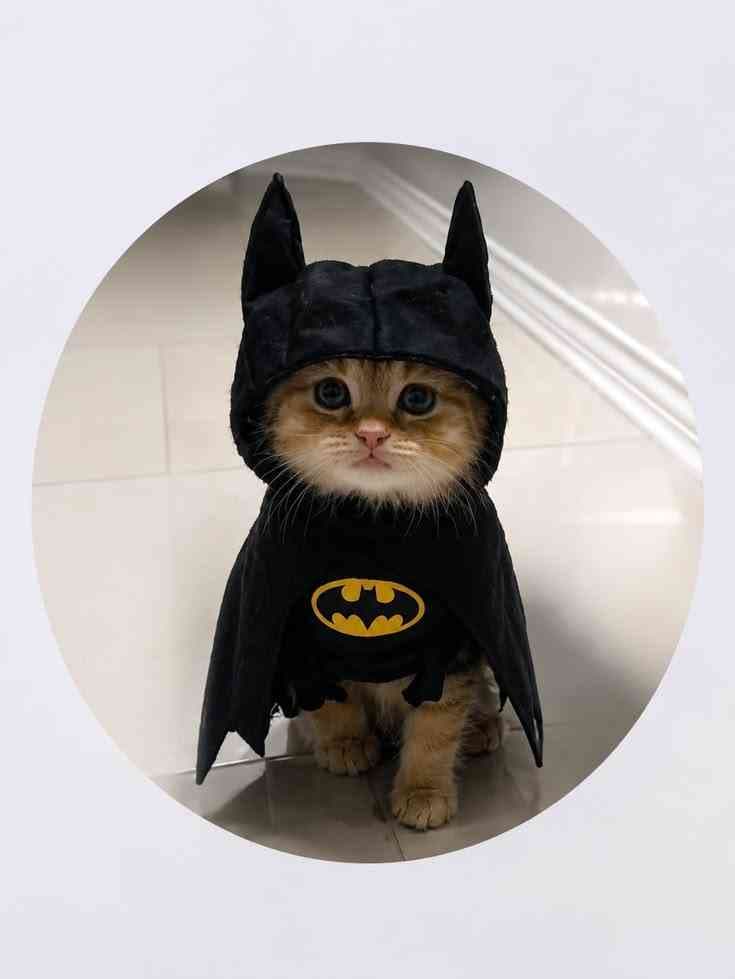 Batman Business