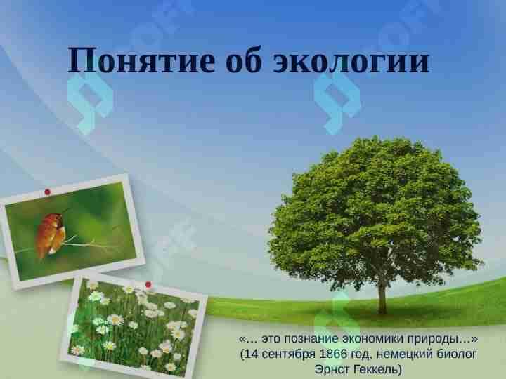 Понятие об экологии