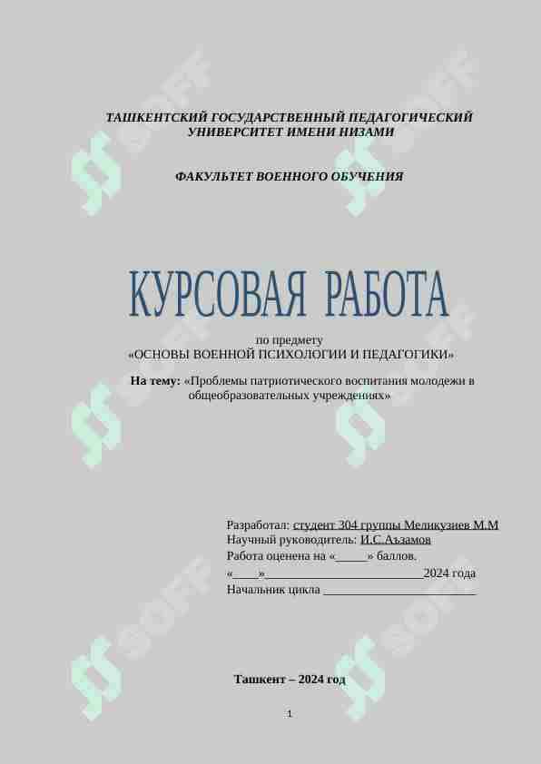 Проблемы патриотического воспитания молодежи в общеобразовательных учреждениях.