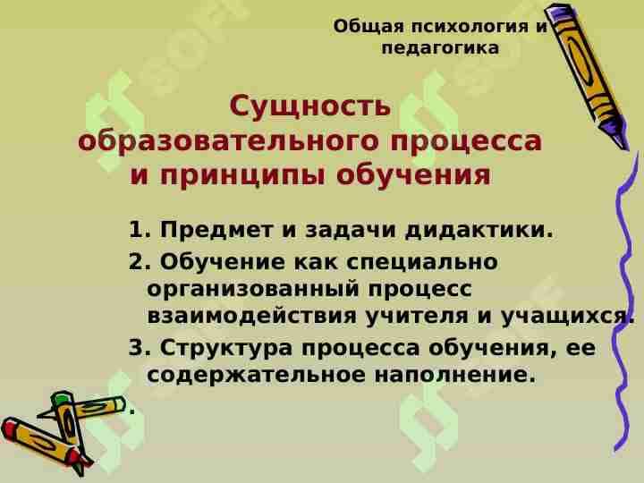 Сущность образовательного процесса и принципы обучения