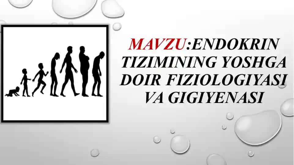 Endokrin tizimining yoshga doir fiziologiyasi va gigiyenasi