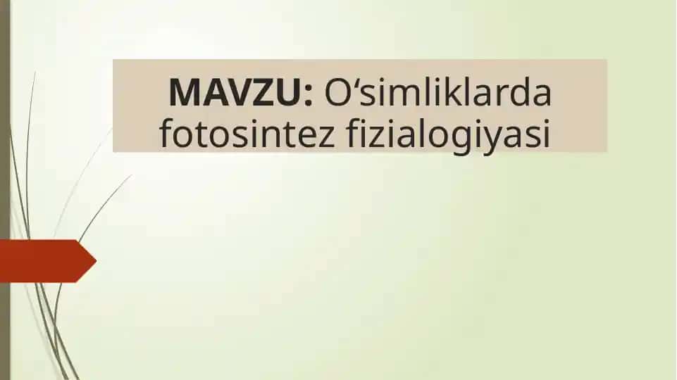 O‘simliklarda Fotosintez Fizilogiyasi