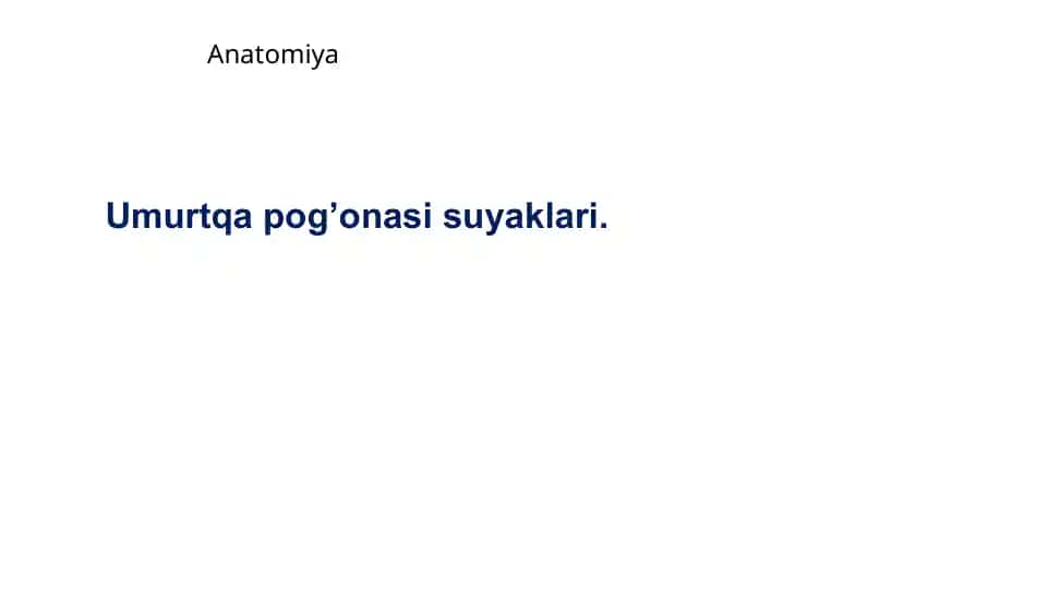 Anatomiya Umurtqapog’onasi suyaklari