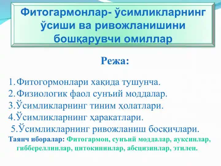 Фитогормонлар