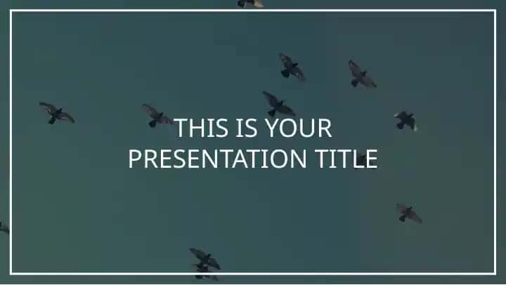 Presentation Template