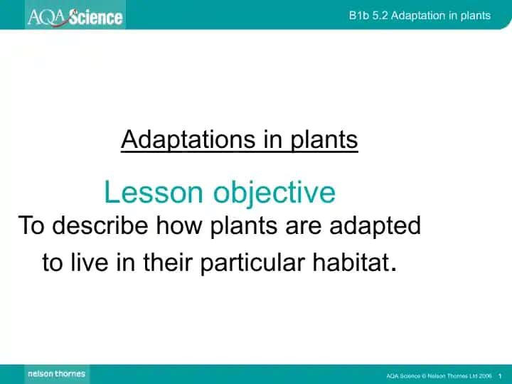 Adaptations in plants