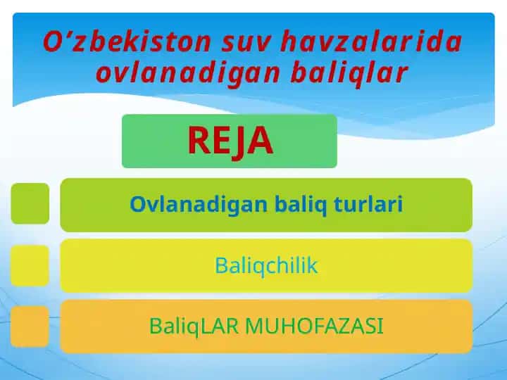 O'zbekiston suvhavzalarida o'vlanadigan baliqlar