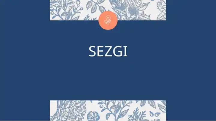 Sezgi