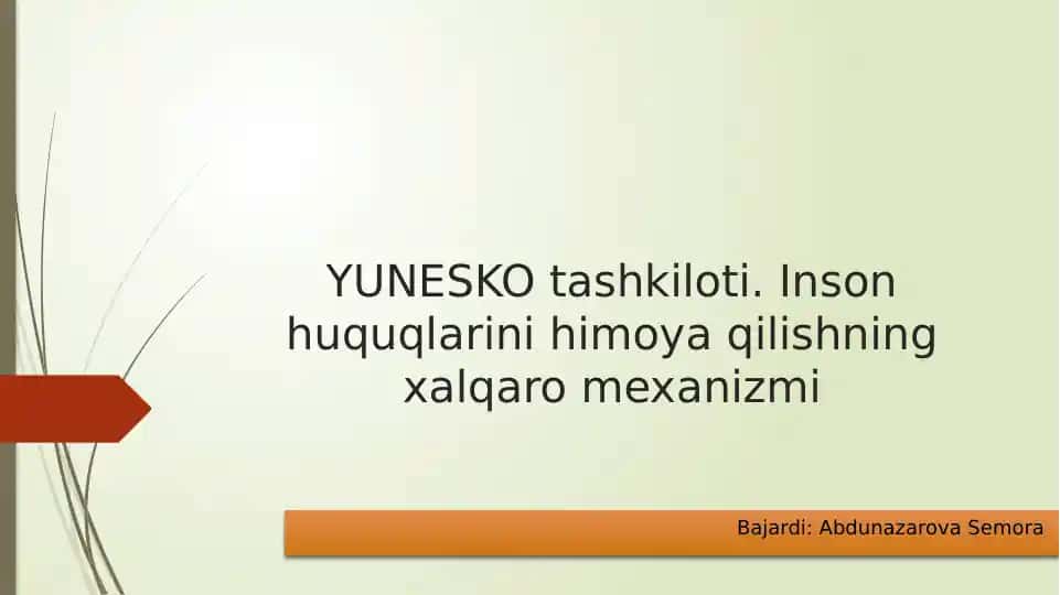 Inson Huquqlarini Himoya Qilishning Xalqaro Mexanizmi