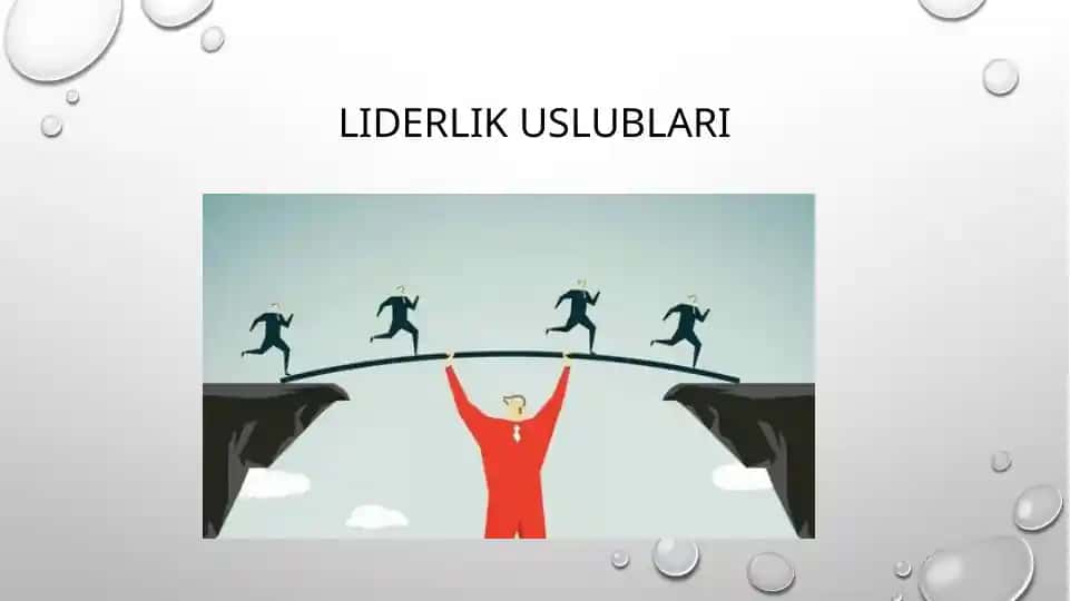LIDERLIK USLUBLARI