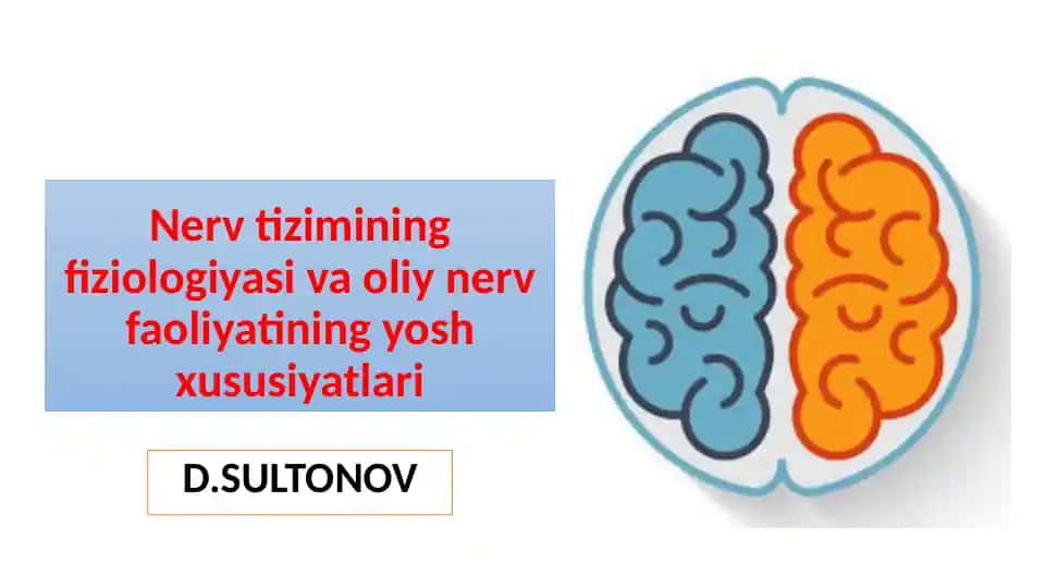 Nerv tizimining fiziologiyasi va oliy nerv faoliyatining yosh xususiyatlari