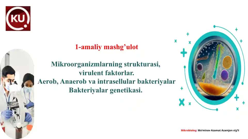 Mikroorganizmlarning strukturasi