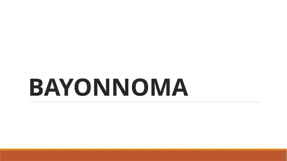 BAYONNOMA