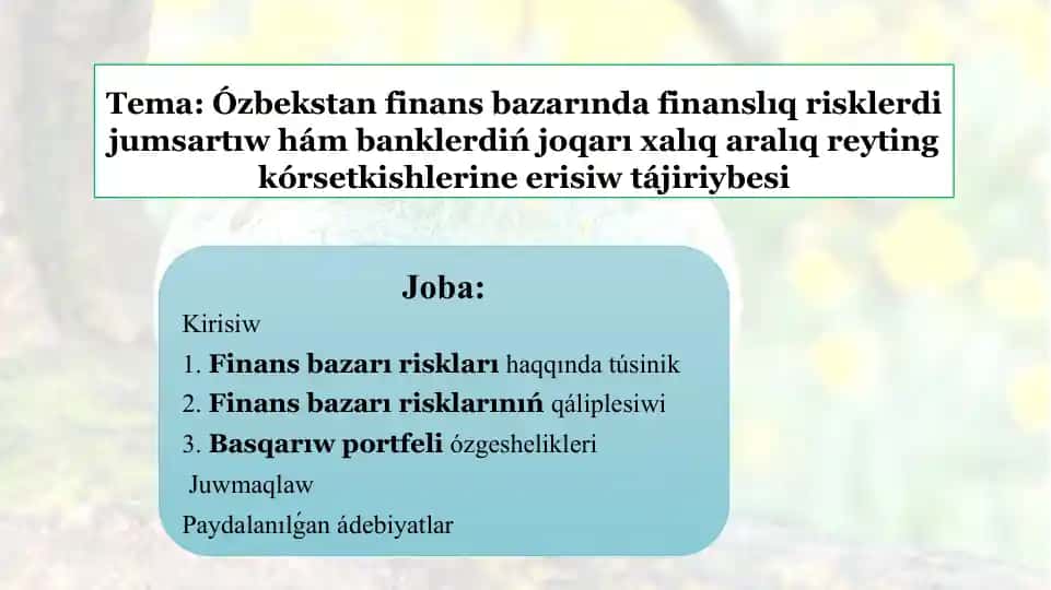 Ózbekstan finans bazarında finanslıq risklerdi jumsartıw hám banklerdiń joqarı xalıq aralıq reyting kórsetkishlerine erisiw tájiriybesi