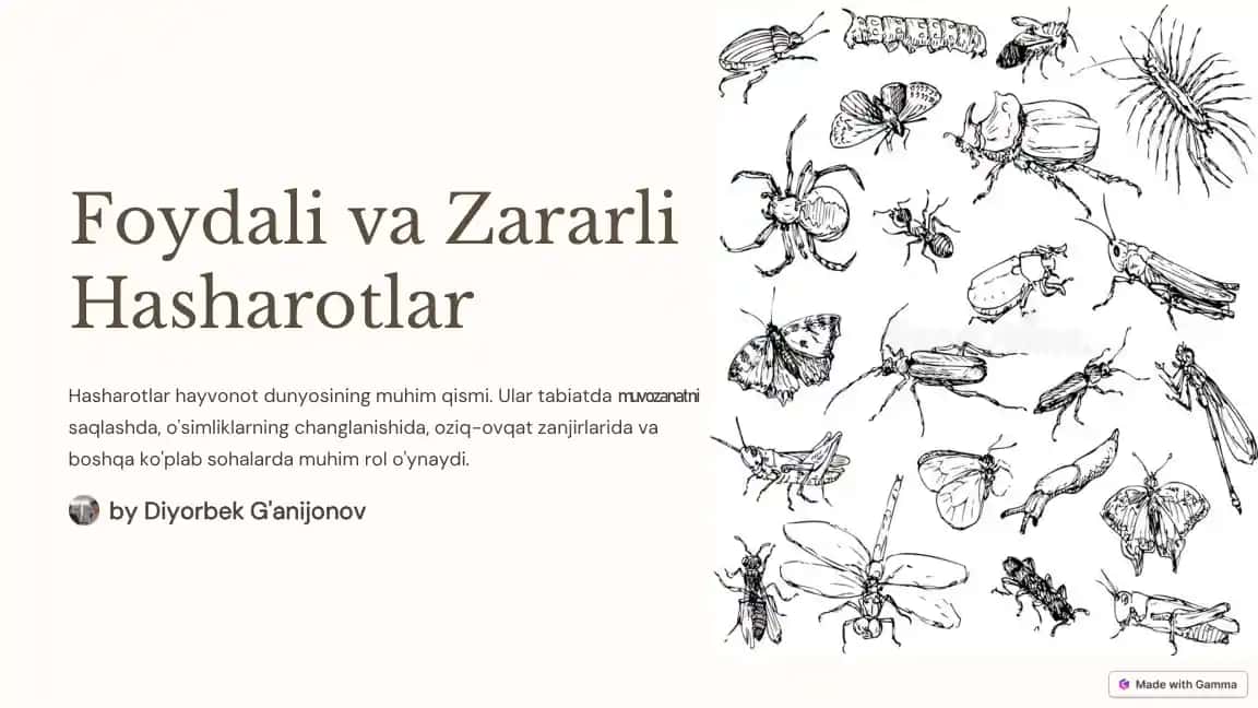 Hasharotlar