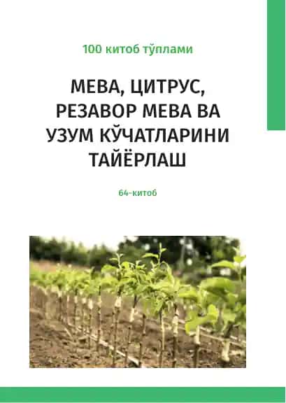 Meva, citrus, rezavor meva va uzum kochatlarini tayyorlash