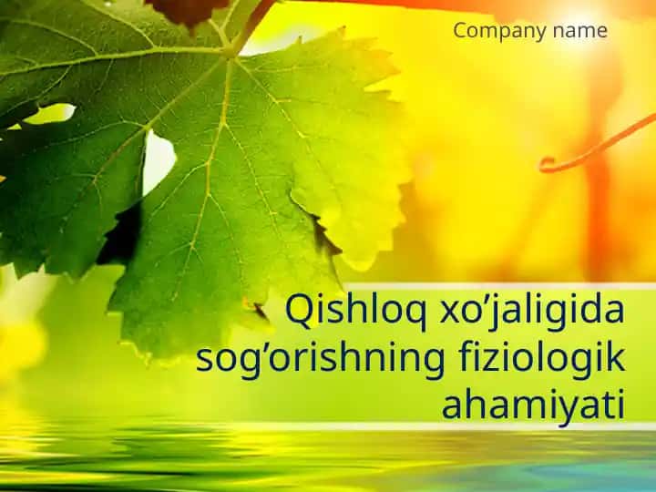 Qishloq xo’jaligida sog’orishning fiziologik ahamiyati