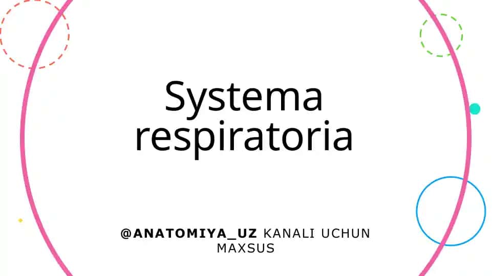 Systemarespiratoria