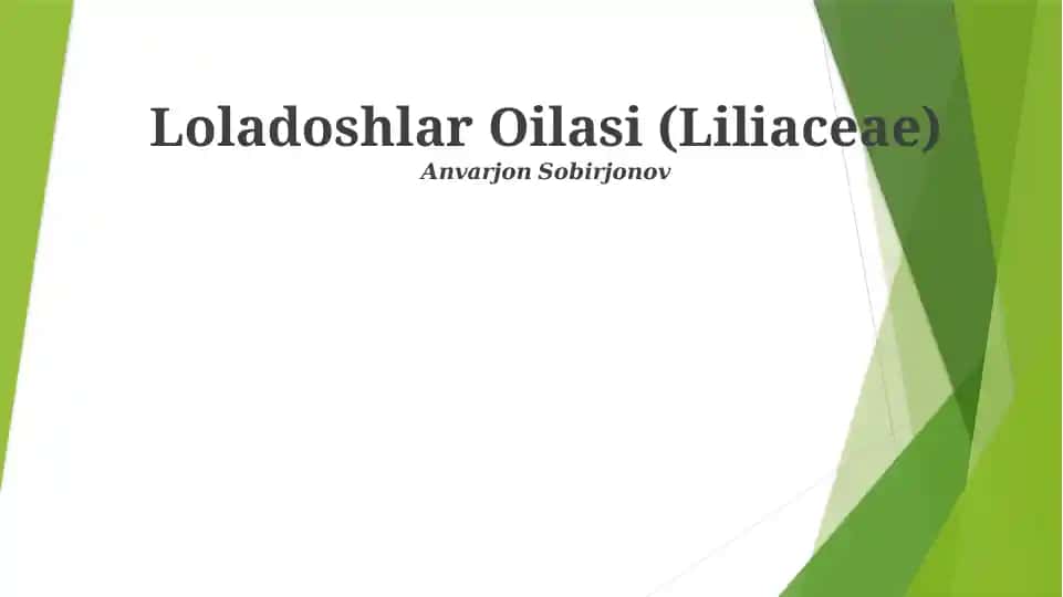 Loladoshlar Oilasi (Liliaceae)