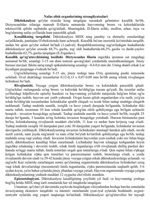 Diktiokaulyoz (Dictyocaulus filaria)