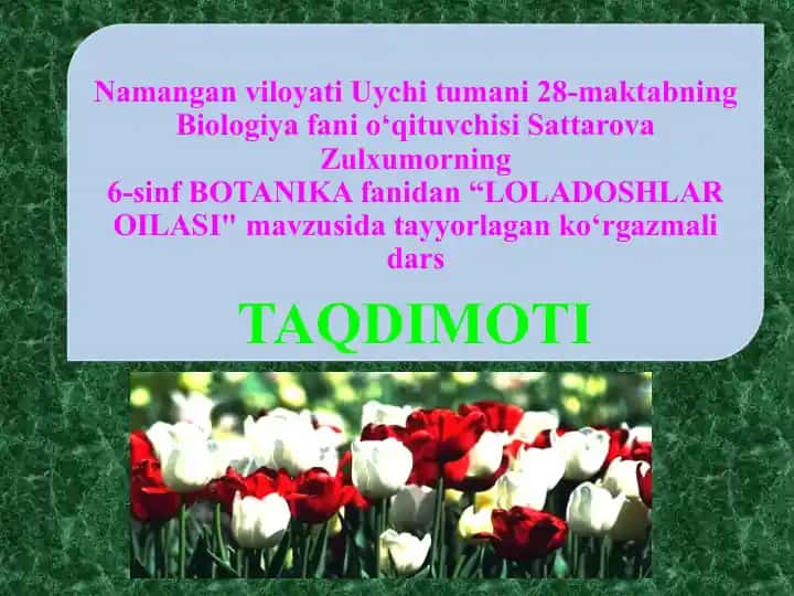 "LOLADOSHLAR OILASI"