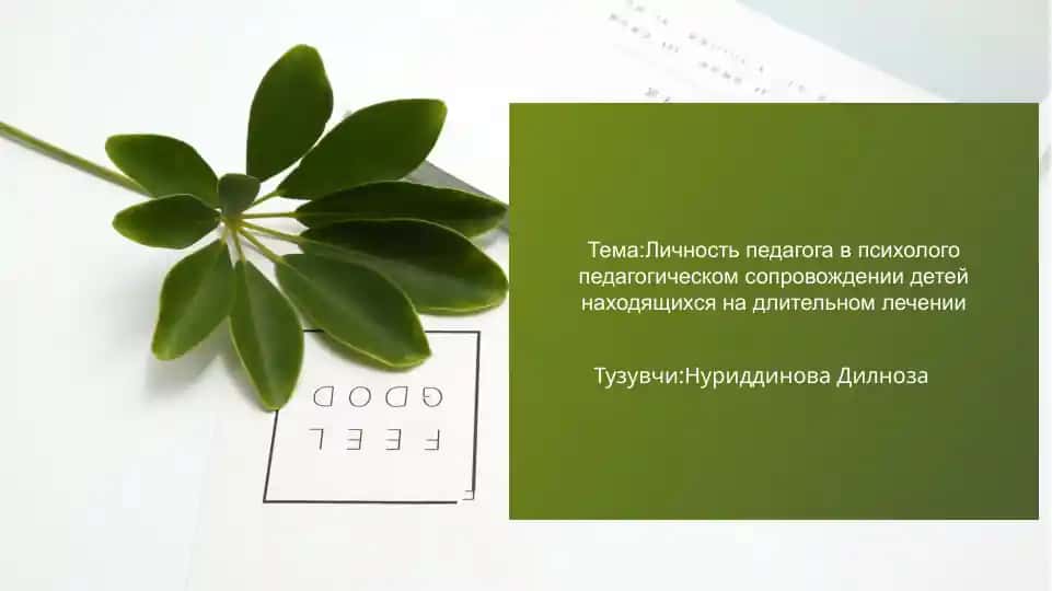 Личность педагога в психолого-педагогическом сопровождении детей находящихся на длительном лечении