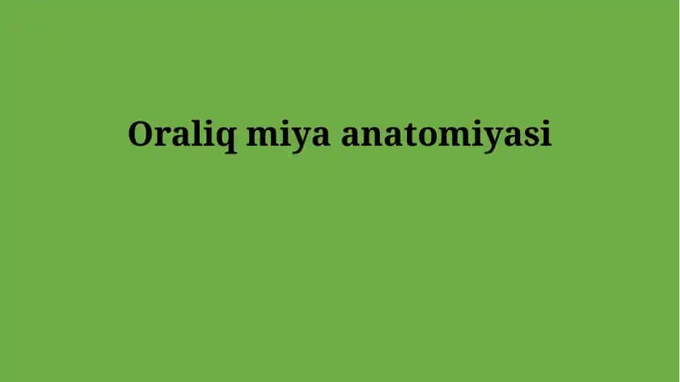 Oraliq miya anatomiyasi