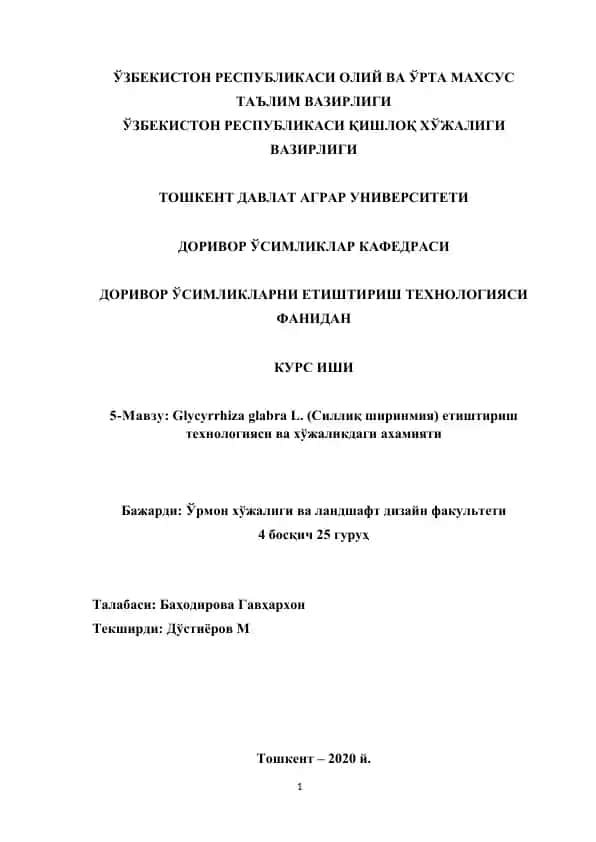 Glycyrrhiza glabra L. (Силлиқ ширинмия) етиштириш технологияси ва хўжаликдаги ахамияти (Курс иши)