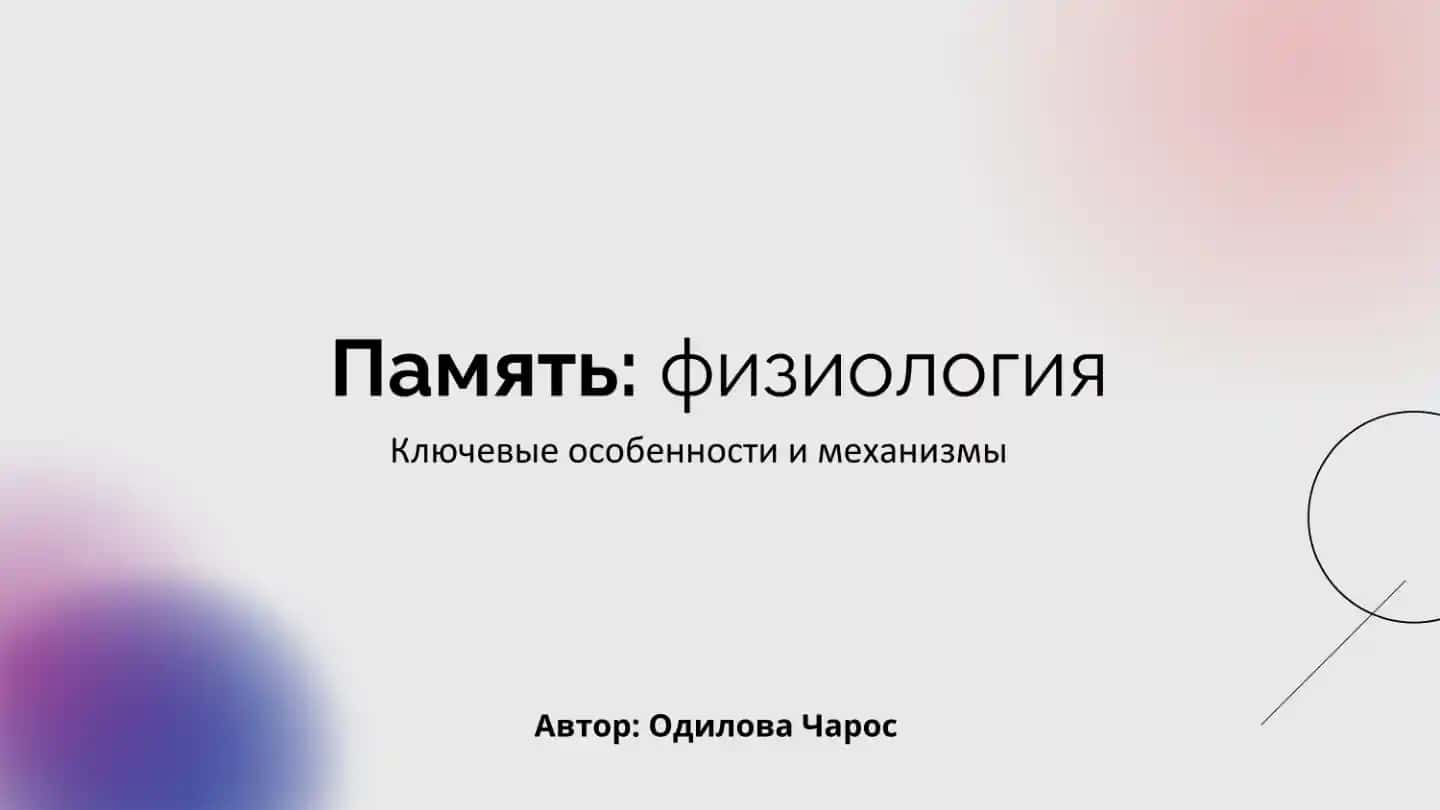 Память физиология