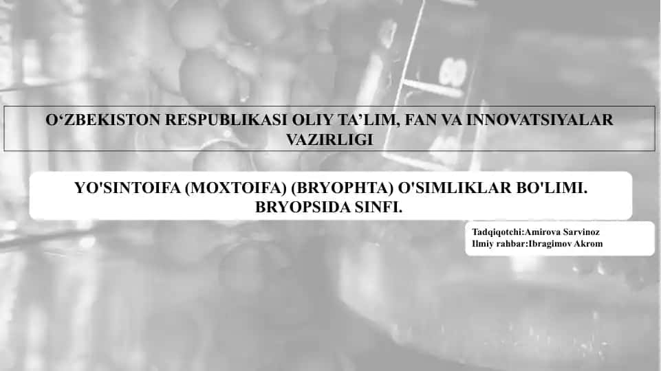 YO'SINTOIFA (MOXTOIFA) (BRYOPHTA) O'SIMLIKLAR BO'LIMI. BRYOPSIDA SINFI.