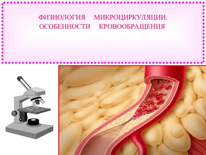 ФИЗИОЛОГИЯ МИКРОЦИРКУЛЯЦИИ