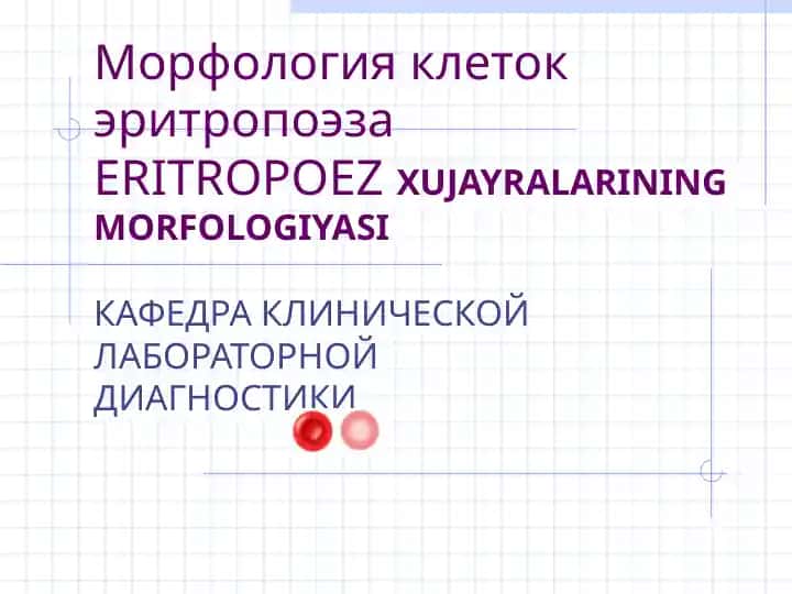 ERITROPOEZ XUJAYRALARINING MORFOLOGIYASI