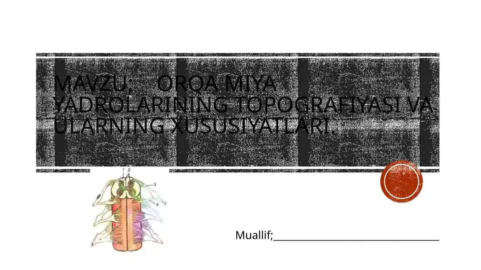 Orqamiyayadrolarining topografiyasi va ularning xususiyatlari