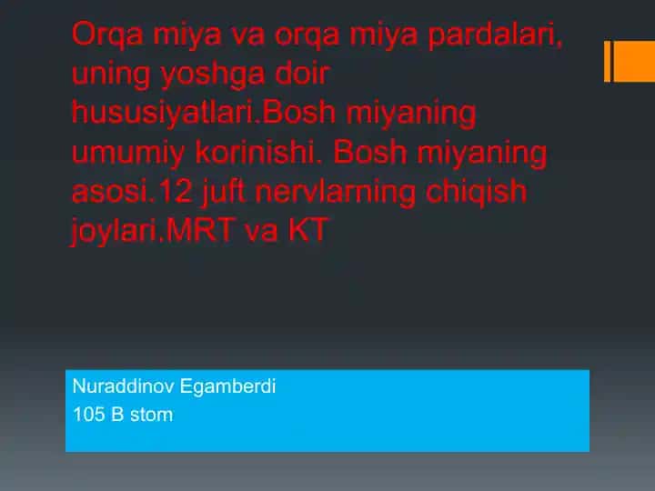 Orqamiya va Orqa Parda