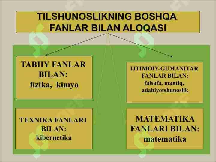 TILSHUNOSLIKNING BOSHQA FANLAR BILAN ALOQASI