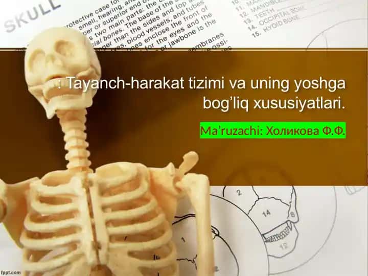 Tayanch harakat tizimi va uning yoshga bog’liq xususiyatlari