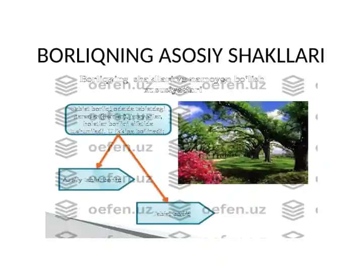 Borliqning asosiy shakllari