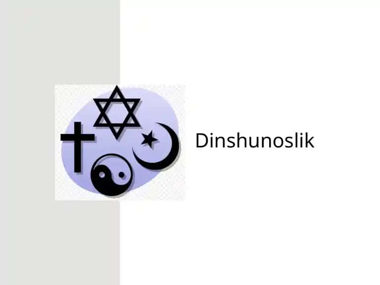 Dinshunoslik