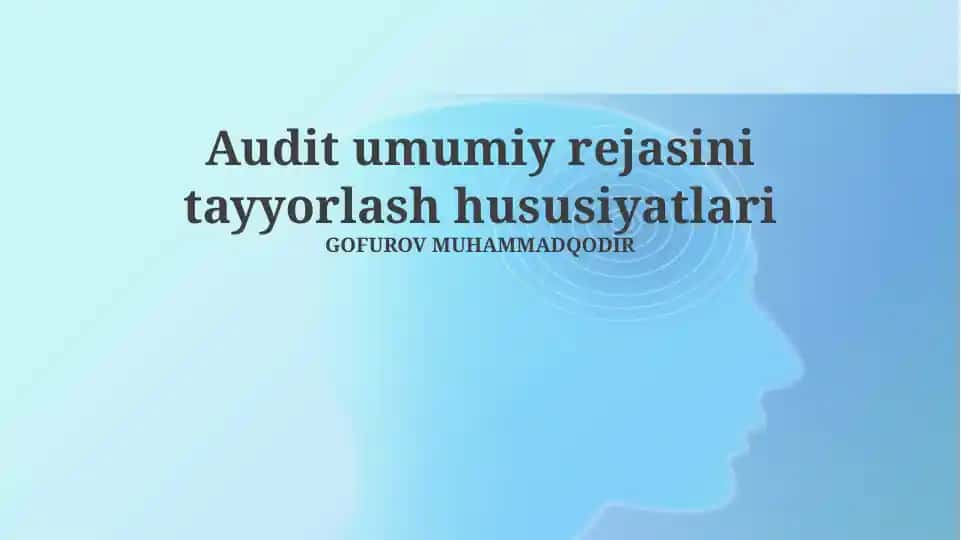 Audit umumiy rejasini tayyorlash hususiyatlari