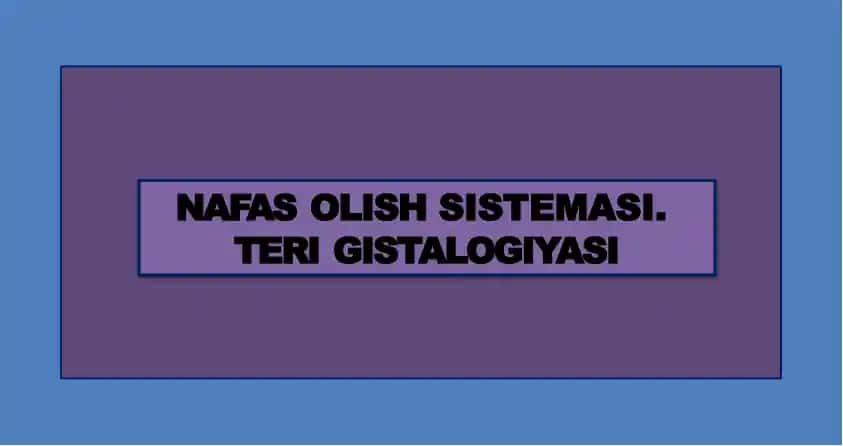 NAFAS OLİSH SİSTEMASI