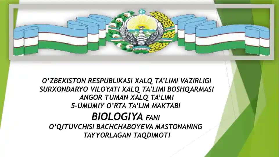 Prokariot hujayralar