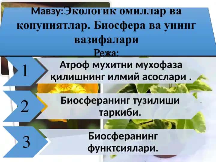 Экологикомиллар ва қонуниятлар. Биосфера ва унинг вазифалари