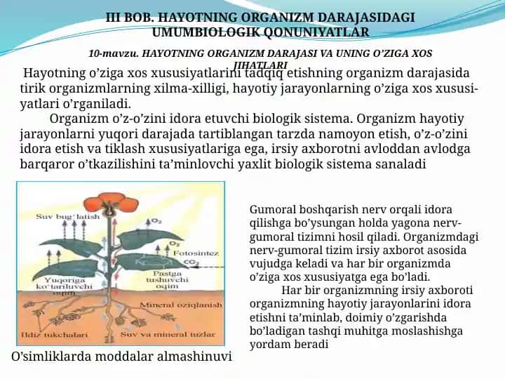 Organizm Darajasidagi Umumbiologik Qonuniyatlar