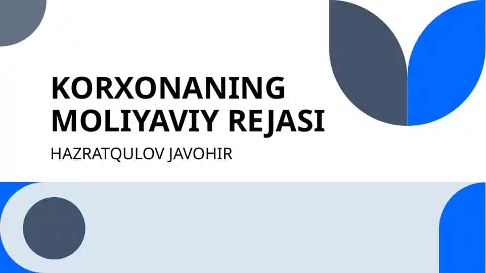Korxonaning moliyaviy rejasi