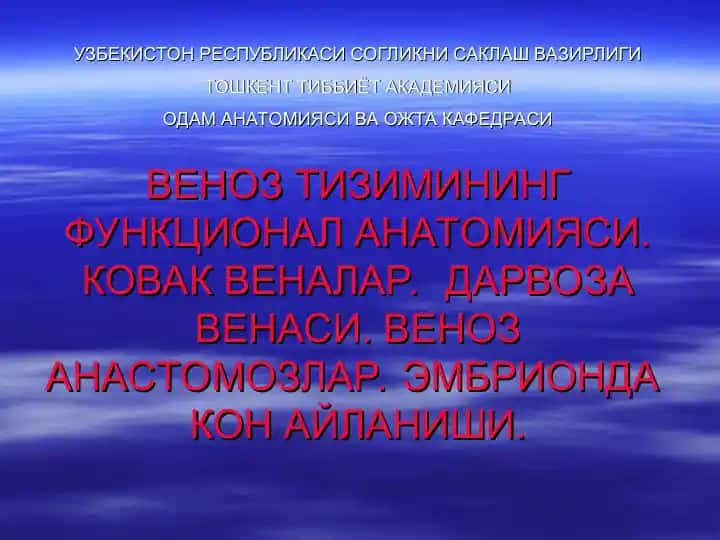 Venoz tizimining funksional anatomiyasi