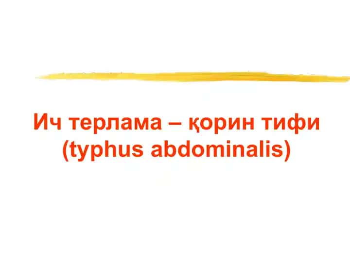 Typhus abdominalis
