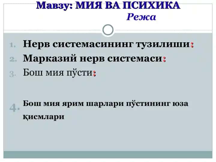 Nerv sistema tuzilishi