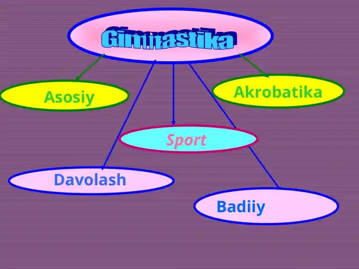 Gimnastika
