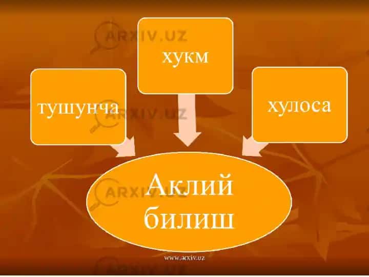 Ontologiya, Gnoseologiya, Ijtimoiy falsafa, Etika, Aksiologiya